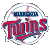 Minnesota Twins Baseball