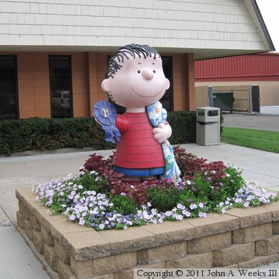 Peanuts On Parade - Linus Blankets Saint Paul - Quilting Linus